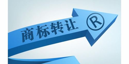 商務服務企業(yè)商情 商務代理與代辦服務的市場機遇與發(fā)展策略